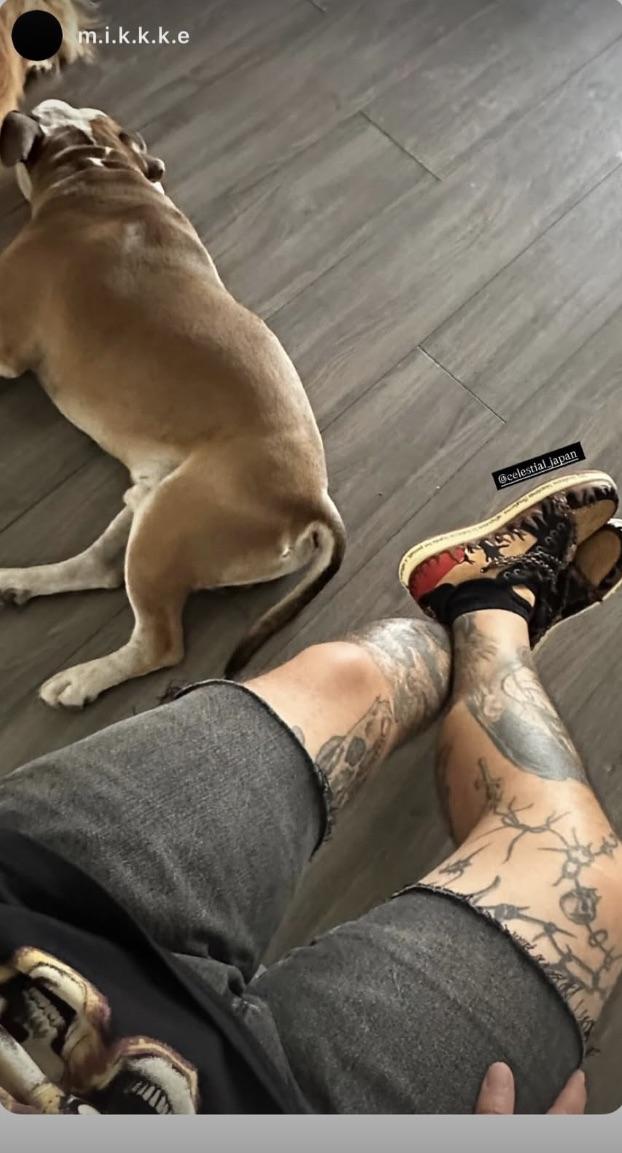 Inferno on foot beside a dog